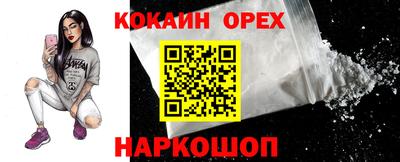 тгк Канаш