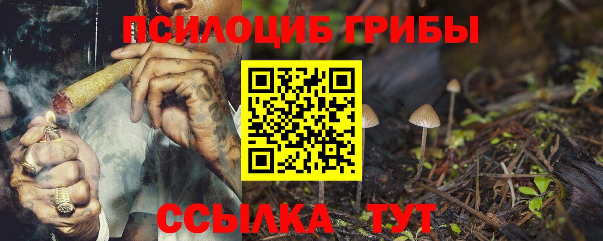 Галлюциногенные грибы мицелий Лесной