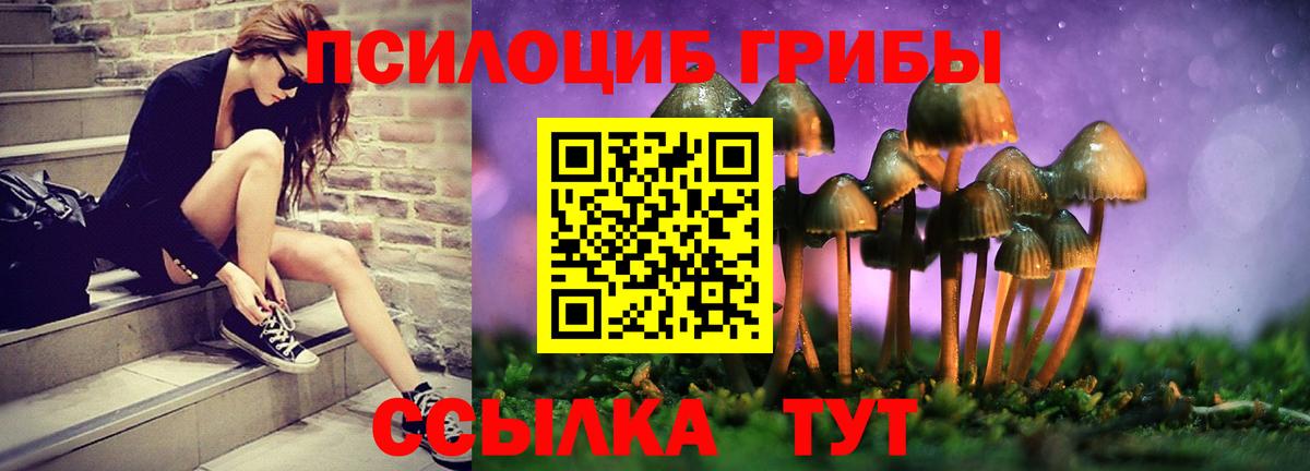 Гашиш  Лесной  MDMA  Вход с VPN  МЕФ кристаллы  НБОМе  КОКАИН  Каннабис 