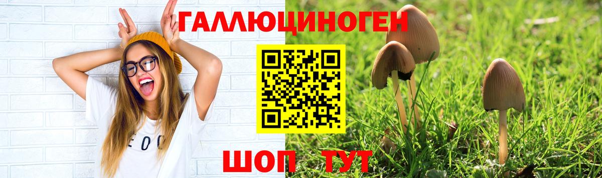 Псилоцибиновые грибы Magic Shrooms  Вход с VPN  цена   Лесной 